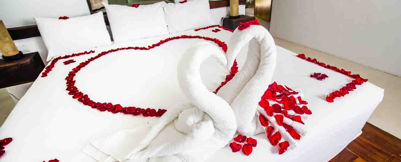 Kerala Honeymoon Packages for 7 Nights 8 Days